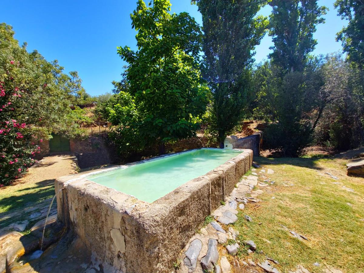 Apartamentos Rurales Tinguaton Aldeanueva de Barbarroya エクステリア 写真